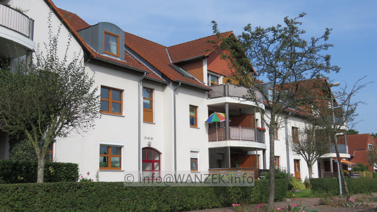 Crataegus laevigata Paul's Scarlet - krank 02.JPG